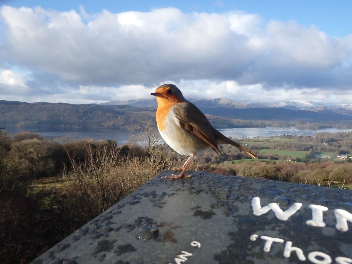 Haisthorpe Guest House Windermere Esterno foto
